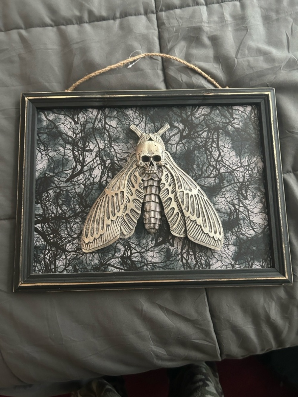 Skull Moth 3D Wall Art - Metallic Silver on Black 🆕